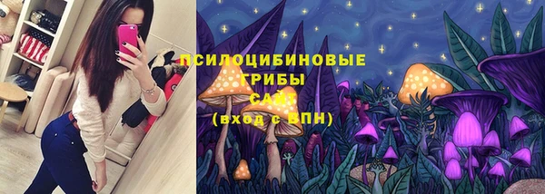 spice Абинск