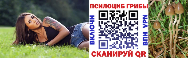 Псилоцибиновые грибы Psilocybine cubensis  сколько стоит  Нариманов 